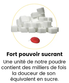 Icône d'une vingtaine de carrés de sucre à côté d'une baie Miracle illustrant le fort pouvoir sucrant de la Miraculine. Une unité de notre poudre Mira® contient des milliers de fois, la douceur de son équivalent de sucre.