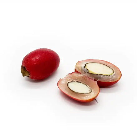 Fruit miracle (Synsepalum dulcificum) : tout savoir sur la baie du miracle