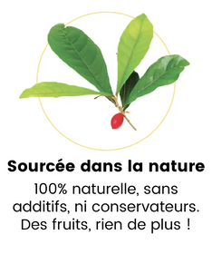 Fruit miracle (Synsepalum dulcificum) : tout savoir sur la baie du miracle