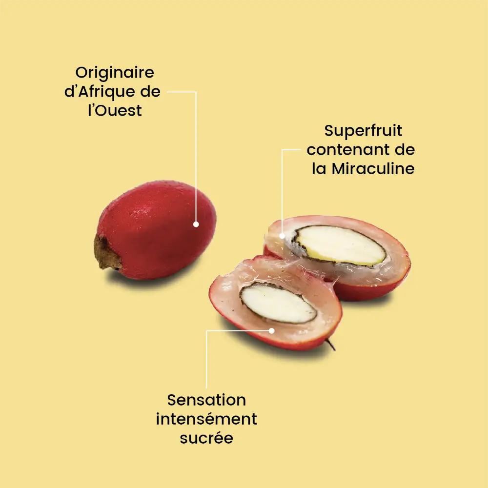 Miraculine, Baie du Miracle, de 5 à 60 Fruit Miracle séché, Syncepalum  Dulcificum. -  France